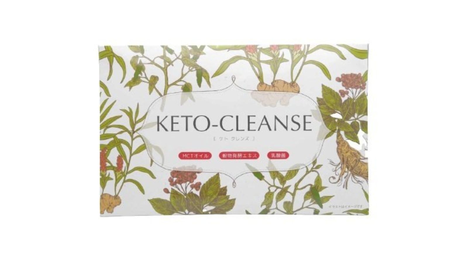 KETO-CLEANS ケト クレンズ - ダイエット食品