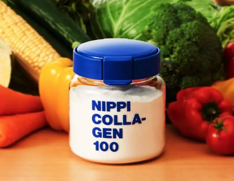 ニッピコラーゲン100 - 健康用品