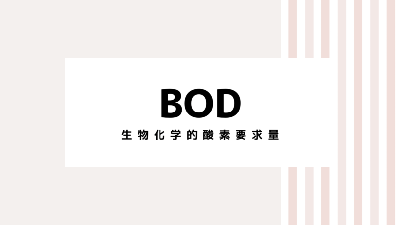 【2022最新】BODのキャンペーンコード＆クーポンを全て紹介