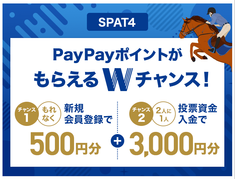  Pay Pay 銀行キャンペーンコード＆クーポン
