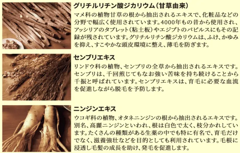 薬用育毛剤柑気楼EXは3種類*の有効成分が発毛・育毛を促進
