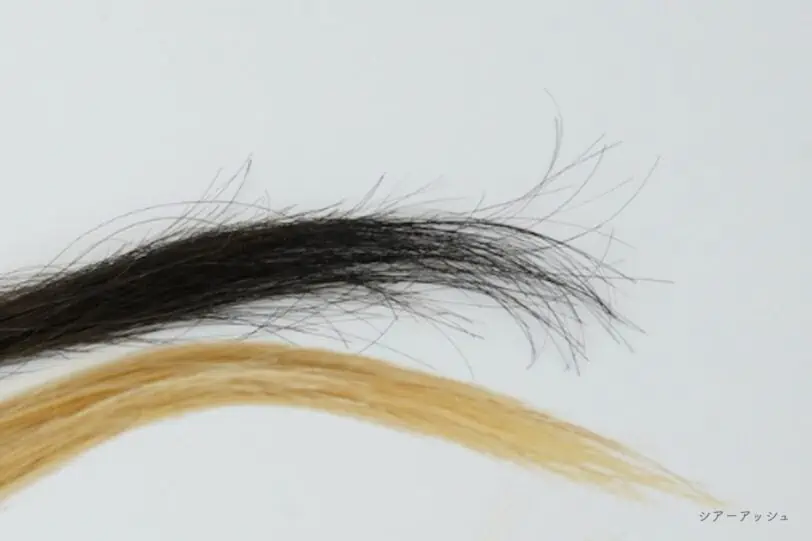 【白髪染め】クレイエンスクイックスパカラーシアーアッシュの染まり具合と毛先の状態
