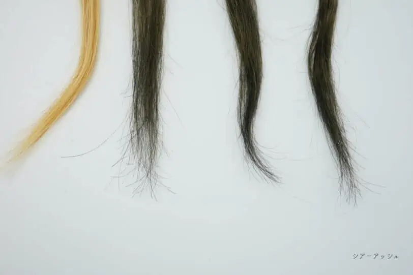 【白髪染め】クレイエンスクイックスパカラーシアーアッシュの染まり具合と毛先の状態