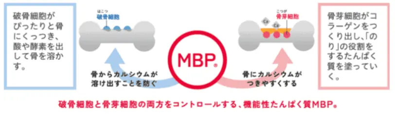 MBPの役割